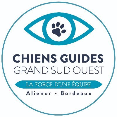 Ecole de chiens guides créée en 1985, nous remettons des chiens guides gratuitement à des personnes mal ou non-voyantes.