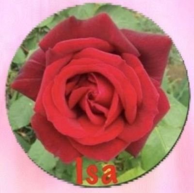 Isaさんのプロフィール画像