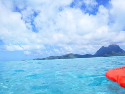 kimamaniProg's profile picture. 気ままなシステムエンジニア(C#, C++, VBA)

組込みばっかりなのでWeb系スキル取得中、ブログと投資(米国株、投資信託)もやってます。
エンジニア8年目に突入