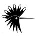 Hoopoe Running Apparel (@hoopoerunning) Twitter profile photo Hoopoe Running Apparel (@hoopoerunning) Twitter profile photo