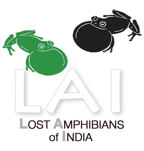 The search to find the lost amphibians of India is on! Join teams of scientists over the coming months as they search for 50 species not seen in decades!