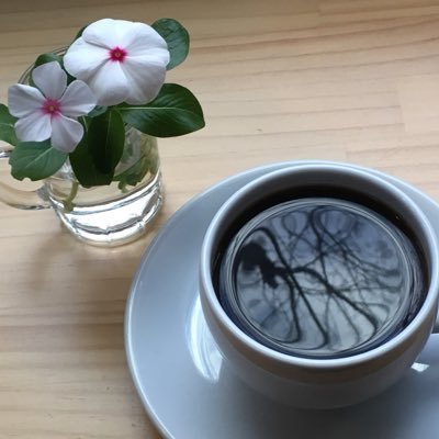 Cafe コーヒーの木 何故だろうか 車に当たる 当てられる 事が時々あるe さっき駐車場の後ろをカバン の中をガサゴソしながら歩いていたらバックしてきた車に当たったのだが 今になって肩が痛くなってきたe