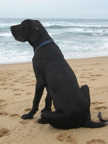 James_Wyper's profile picture. 