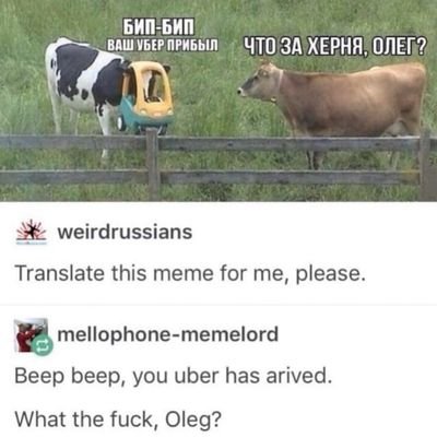 BIGMEME76387514's profile picture. just a big meme page