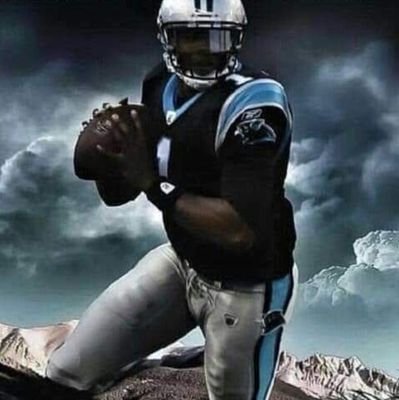 I Stan Cam Newton. I I feel alot of my fellow panther fans r doin him wrong Want some diversity in Bachelor leads! #keeppounding #keepCamInCarolina #QB1FORLIFE