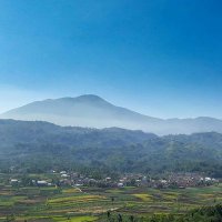 satria wibawa (@satria_wibawa) 's Twitter Profile