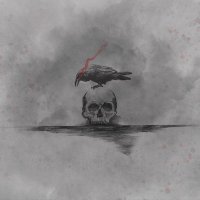 Dan Wolf (@linsenheld) 's Twitter Profile