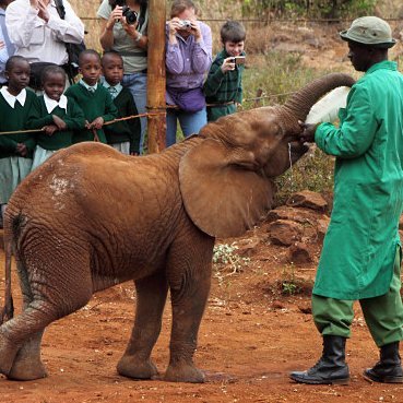 nadiaJe43132441's profile picture. Student of Journalism living the dream in South Africa! Frequent flyer of African destinations.  Wamkelekile zihlobo!