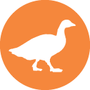 AnatecAI's profile picture. Azure AI and Power BI specialists.