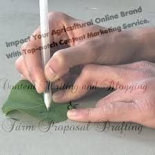 alabi_mukhtar's profile picture. Freelance Writer