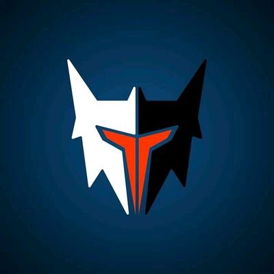 AlviIsalm's profile picture. 