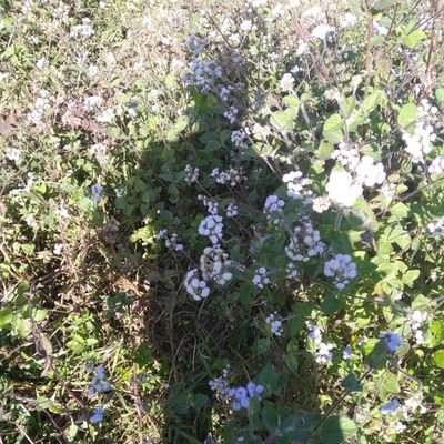 hugogam's profile picture. Bibliotecólogo UdeA ¿Y si reemplazamos las iglesias por bibliotecas?