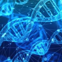 UCL Renal Genomics (@renalgenomics) 's Twitter Profile Photo UCL Renal Genomics (@renalgenomics) 's Twitter Profile Photo