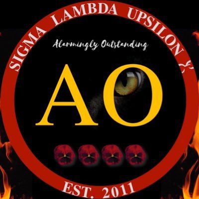 In the Spring of 2011, four dedicated & motivated women founded the AO Chapter of Sigma Lambda Upsilon at the University of Connecticut - Storrs. IG: slu_ao
