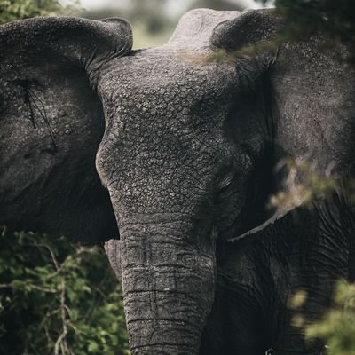 ArkitecDk's profile picture. architect is a human not a machine...