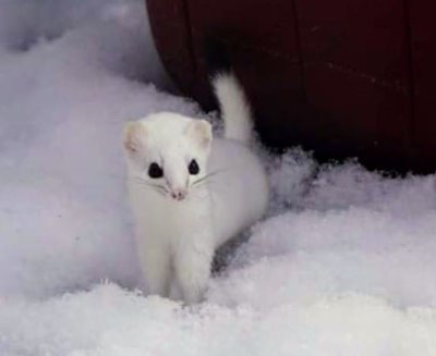 JenniLee02's profile picture. Adorable but dangerous like a stoat. Just gimme some truth!