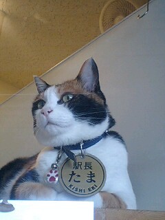 すっかりベテラン初心者だぁ ボディボード始めてもう何年だろ？