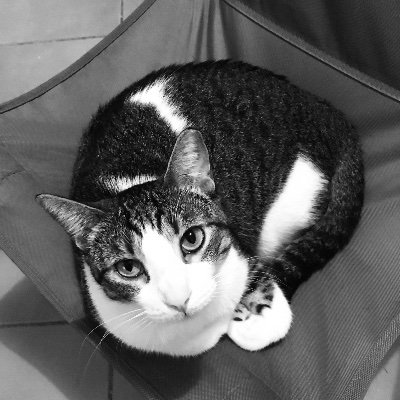 e4j18's profile picture. 