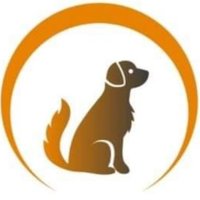 Lost Dog Recovery UK South(@RecoveryDog) 's Twitter Profileg