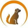 RecoveryDog's profile picture. Specialising in the recapture of difficult to catch dogs. Advice, mapping, posters & online support to areas south of Birmingham. On ground support in Sussex.