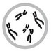 Comp. Cytogenetics (@compcytogen) Twitter profile photo Comp. Cytogenetics (@compcytogen) Twitter profile photo
