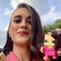 Amy Corbett (@brickmasteramy) Twitter profile photo