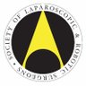 SLSorg's profile picture. An educational nonprofit organization established to help ensure the highest standards for the practice of laparoscopic, robotic & minimally invasive surgery.