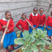 The Humming Bird Foundation (@thehummingbirdf) 's Twitter Profile Photo