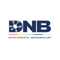 Developmental_Neuro (@dnbresearch) 's Twitter Profile