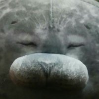 hka.m (@m_hka) 's Twitter Profile