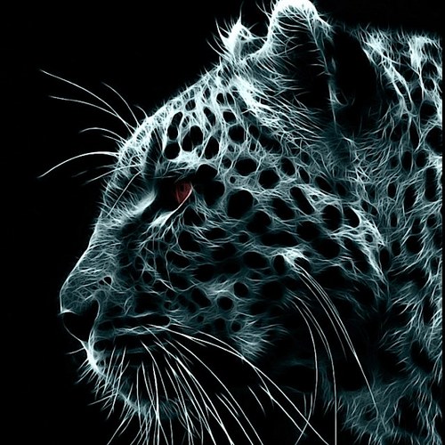 realbum's profile picture. 