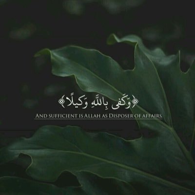 In the Name of Allah , the Beneficent , the Merciful