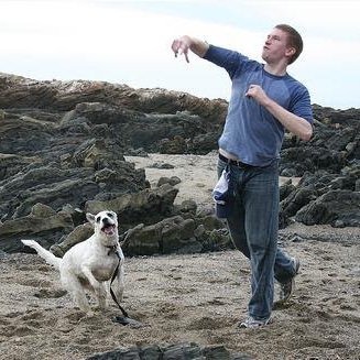 Alaska to New York City. Seahawks. Technology. Dogs. he/him