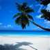 Top 100 Beaches (@top100beaches) Twitter profile photo Top 100 Beaches (@top100beaches) Twitter profile photo