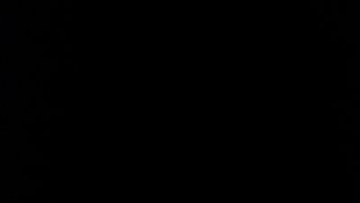 Fatseal12's profile picture. 