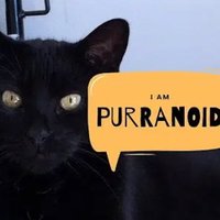 Purranoid’s Art Room(@stormholdcastle) 's Twitter Profile Photo