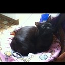 Angela Flint - @benimar2 - Twitter