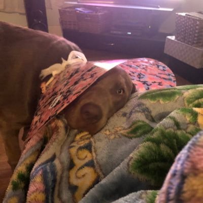 Madison78240900's profile picture. mystreet season 7 is coming back🥳🥳🥳🥳 18 y/o  TikTok: @amazingcoco300