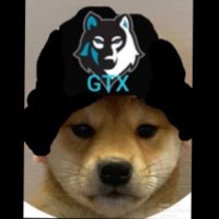 Cyro.mp4 (@gtx_cyro) 's Twitter Profile