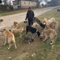 Bilge Almak @fatsasokak.hayvanlari (@bilge_almak) 's Twitter Profile Photo