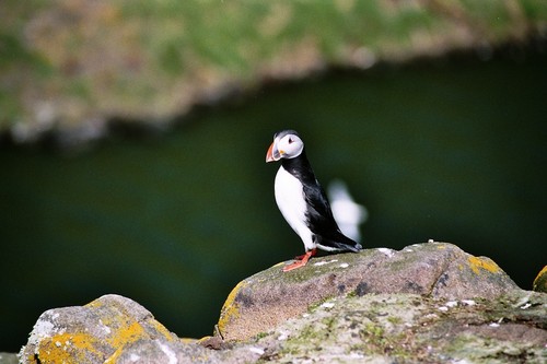 MarysiaM's profile picture. Head of communications and engagement at Scottish Fire and Rescue Service, mum of two, devotee of Mavis Staples