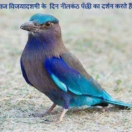 pratibha_dixit's profile picture. 