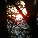 Darcie Gutierrez - @onora22 - Twitter