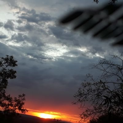 genitriz's profile picture. 