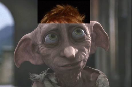ginger_dobby's profile picture. .