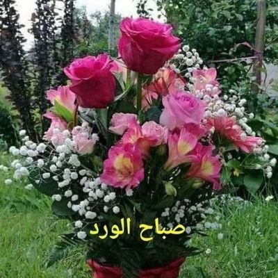 Apdo21808579's profile picture. الحمد لله