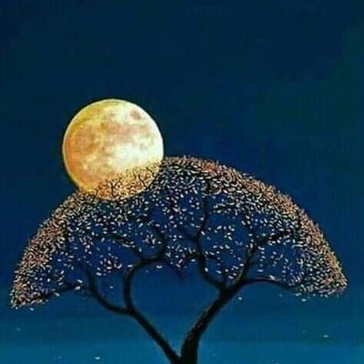 vpnLVKQ1tmgFmes's profile picture. رجل اعمال