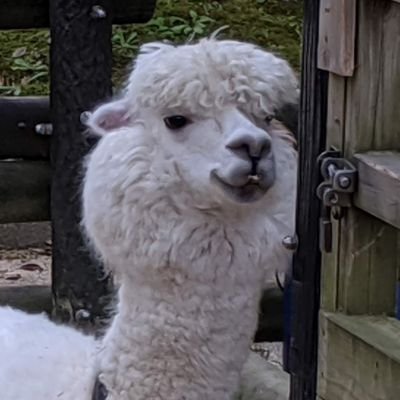 よいさんのプロフィール画像