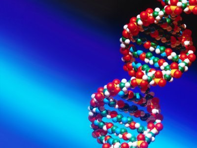 Event Coordinator at EuroSciCon | World Oncology and Cancer Science Summit 2020