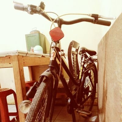 jody96311038's profile picture. 